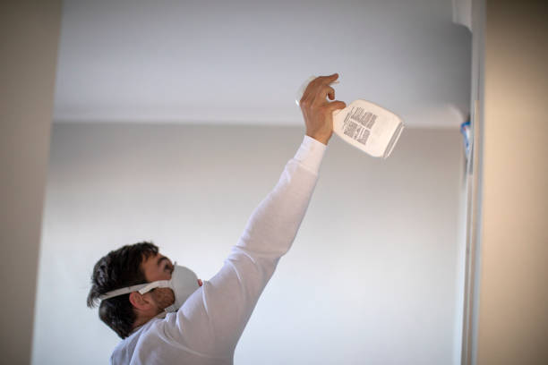 Best Mold Testing and Inspection Services in Bridgeport, TX