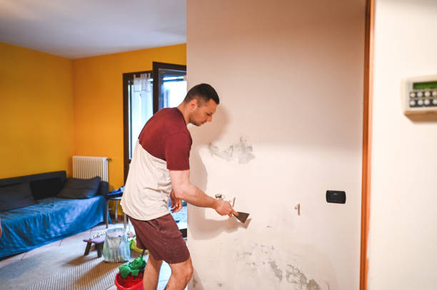 Best Post-Remediation Services in Bridgeport, TX
